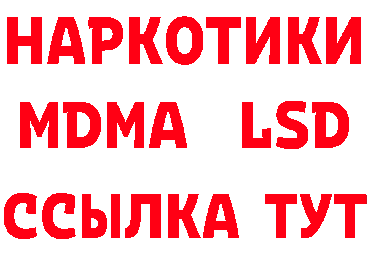 МЕФ 4 MMC ТОР площадка ОМГ ОМГ Кудрово